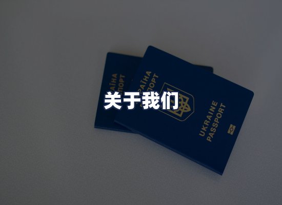 关于我们